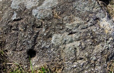 13415_Fill_670_0.jpg