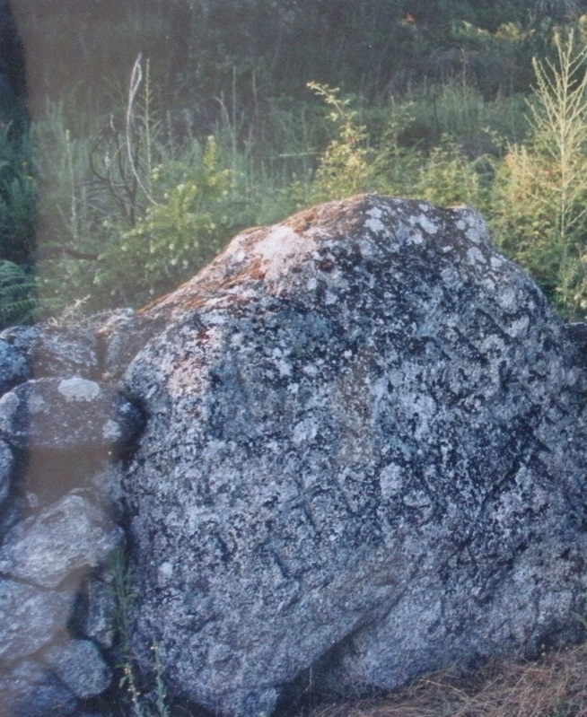 20542648_zEvip2.jpg