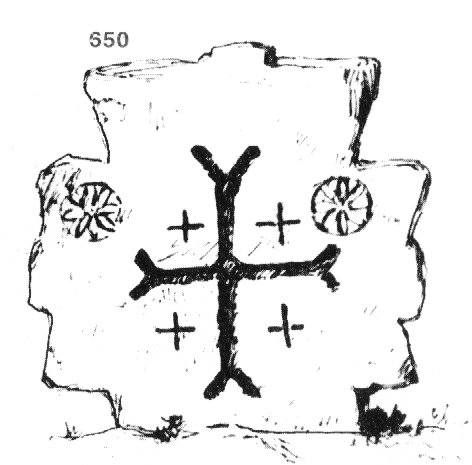 650.jpg