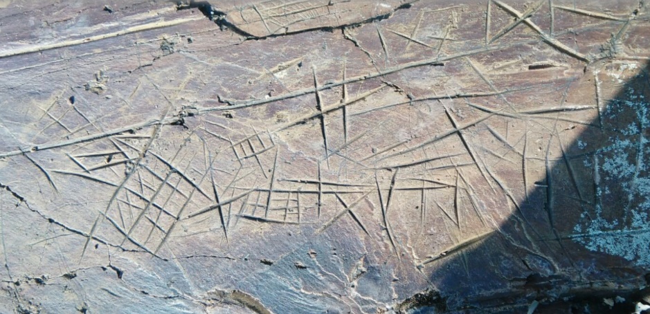 CANITOS