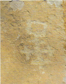 Civitaluparella.jpg