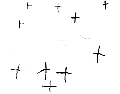 Covarxos