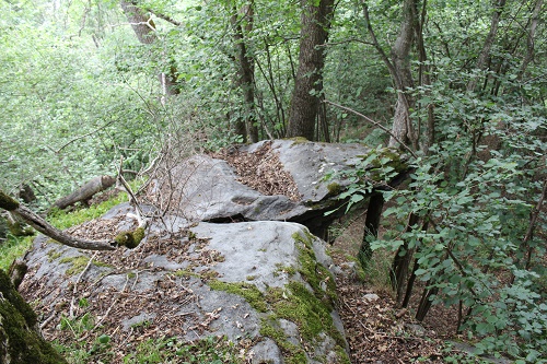 IMG_5250l.JPG