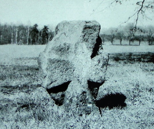 Lohmen.jpg