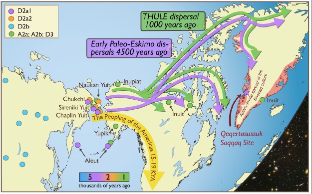 Paleo-Eskimo.jpg