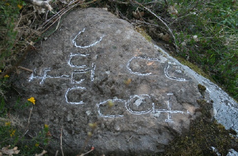 Santuca