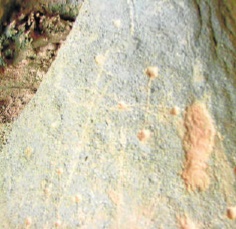 Sierra_de_lugar.jpg