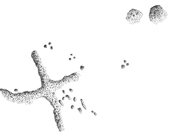 Sion9
