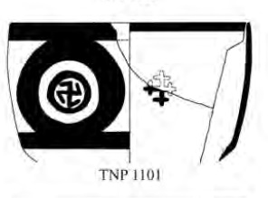 TNP1101