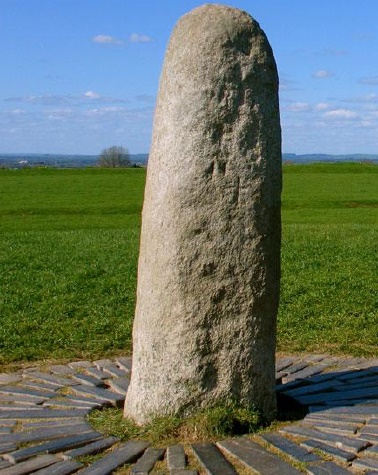 Tara