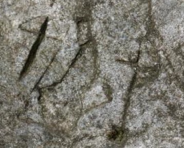 Traversa.jpg