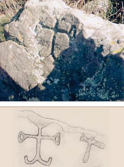 Urizosas
