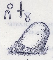 Vidal
