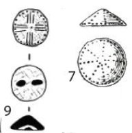 bouton7
