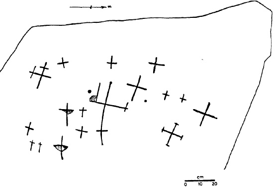 caroux2.jpg