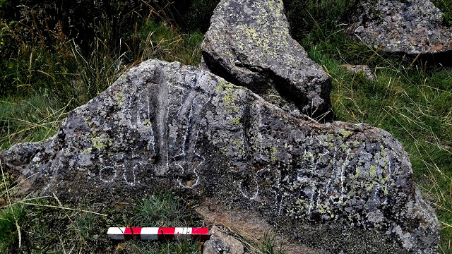 gravats_viliella.jpg