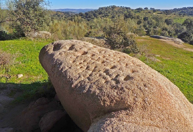 labra2.jpg