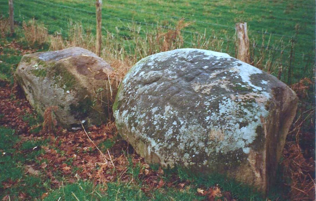 montrollet5.jpg