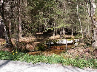 pont_ours4522