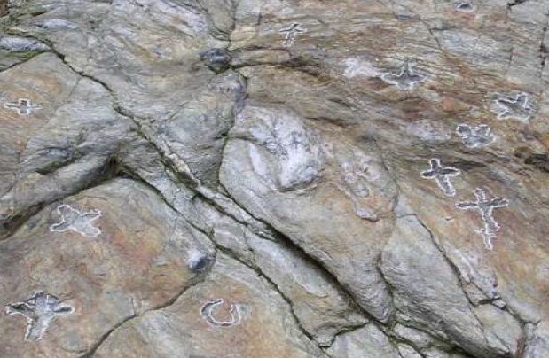 roccia_di_Faedo.jpg