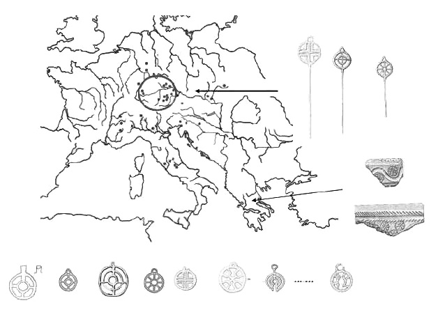rotella_raggiata.jpg