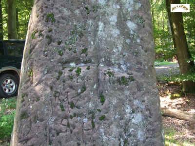 spitzstein-5.jpg