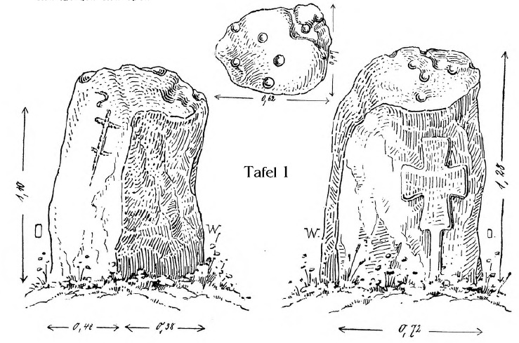 suden.jpg