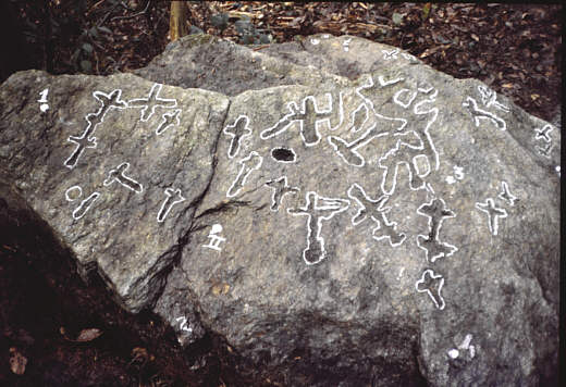 x01a